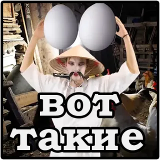 😁 3046faff ВОТ ТАКИЕ telur, orang, rusia, ayam telegram sticker