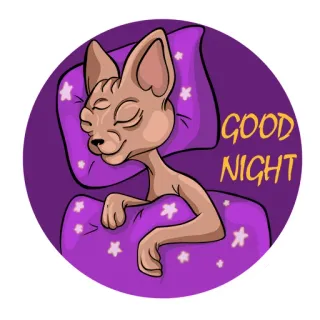😴 5379e704 GOOD NIGHT chat, dormir, bonne nuit, sticker, oreiller, couverture telegram sticker