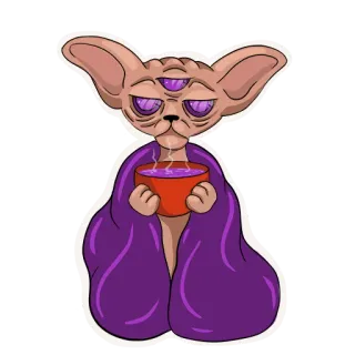 🤒 945c97dd chat, sphynx, troisième œil, violet, tasse, couverture, thé telegram sticker