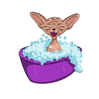 🚿 d733271c chat, sphynx, bain, bulle, drôle, dessin animé telegram sticker