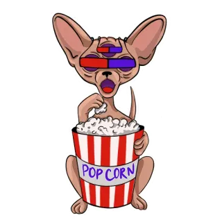 😲 f8c3c699 POP CORN chat, popcorn, lunettes 3D, animal, dessin animé telegram sticker