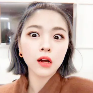 ✊ c6d6371d telegram sticker