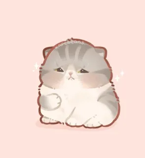 😥 9cebf765 karcebeans gato, lindo, kawaii, pegatina, adorable, gatito, animal, scottish fold telegram sticker
