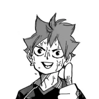 Hinata Shoyo whatsapp stickers