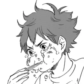 Hinata Shoyo whatsapp stickers