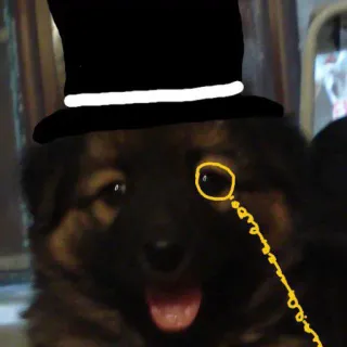 🎩 706dd2dc cão, filhote, monóculo, cartola, animal, fofo telegram sticker