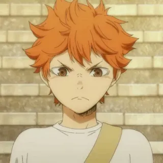 🥃 07fc59d1 Hinata Shoyo Haikyuu!! Anime, Haikyuu, Hinata Shoyo, Volleybal, Sport, Cartoon telegram sticker