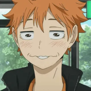 ✨ 271fc100 Hinata Shoyo Haikyuu Anime, Manga, Grappig, Personage, Hinata, Haikyuu, Shoyo telegram sticker