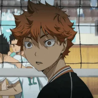 🌼 33110aff Hinata Shoyo Haikyuu!! Anime, Haikyuu, Hinata Shoyo, Volleybal, Sport anime telegram sticker