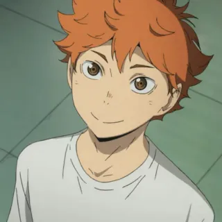 🌱 539350a6 Hinata Shoyo Haikyuu!! Anime, Haikyuu, Hinata, Shoyo, Volleybal, Personage, oranje haar telegram sticker