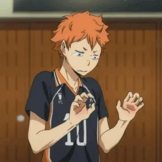 🥀 7f936841 Hinata Shoyo Haikyuu!! Anime, Haikyuu, Hinata, Shoyo, Volleybal, Sport telegram sticker
