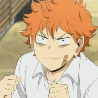 🌱 afb0d6ed Hinata Haikyuu Anime, Haikyuu, Hinata, Volleybal, Cartoon, Oranje haar, Enthousiast, Grappig telegram sticker