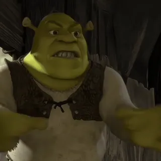 🪲 8e52d3dd Shrek ogro, dibujos animados, película, animado, divertido, enfadado whatsapp sticker