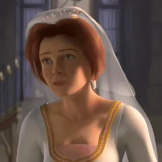 🪲 c9b19de0 Princess Fiona Shrek princesa, fiona, shrek, boda, novia, animación, película whatsapp sticker