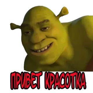 🤪 ae0c22c1 Shrek ПРИВЕТ КРАСОТКА shrek, oger, hallo, schönheit, animiert whatsapp sticker