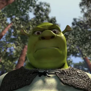 😡 a66bf237 Shrek ogro, verde, animado, película, divertido, dibujos animados telegram sticker