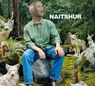 🌿 2f2470e1 Meme Man NAITSHUR Meme, Stonks, Natura, Animali telegram sticker
