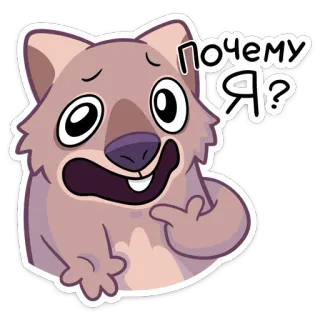 😳 02d33047 ПОЧЕМУ Я? cartone animato, wombat, animale, domanda, carino telegram sticker