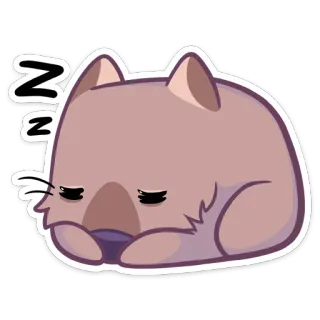 😴 11fe1f5f ZZZ wombat, dormire, carino, animale, kawaii, cartone animato telegram sticker