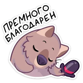 😌 1e22b311 ПРЕМНОГО БЛАГОДАРЕН koala, grato, grato, dormire, animale, carino telegram sticker