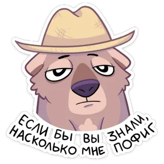 😐 8c8aaac1 ЕСЛИБЫ ВЫ ЗНАЛИ, НАСКОЛЬКО МНЕ ПОФИГ oso, dibujos animados, sombrero, gafas de sol, indiferente, aburrido whatsapp sticker