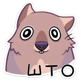 ❓ f8d8e3be ШТО Wombat, Dibujos animados, Animal, Lindo, Cirílico whatsapp sticker