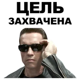 👓 1409c610 Terminator ЦЕЛЬ
ЗАХВАЧЕНА terminator, action, film, objectif atteint, cyborg, arnold schwarzenegger whatsapp sticker