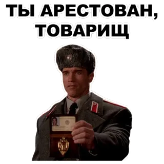 😐 672d9341 ТЫ АРЕСТОВАН, ТОВАРИЩ arrêté, soviétique, russe, officier, communisme, police whatsapp sticker