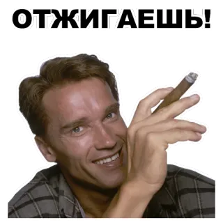 🔥 b2bc9107 Arnold Schwarzenegger ОТЖИГАЕШЬ! acteur, cigare, célébrité, film, homme whatsapp sticker