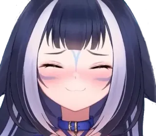 🦈 81001dcf telegram sticker