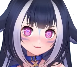 🦈 d39172fd telegram sticker