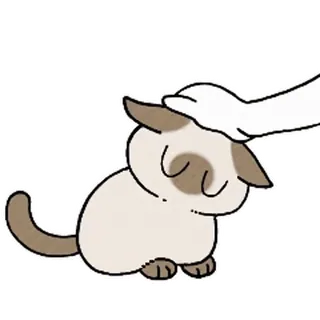 ☺️ abc1a0d0 cat, pet, animal, cute, kitten, domestic animal whatsapp sticker