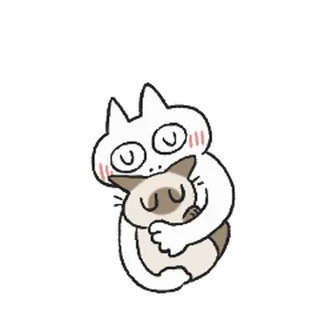 😘 c338d181 cat, animal, pet, cute, kawaii, hugging whatsapp sticker