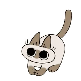 ❤️ ed24a7b5 cat, animal, pet, siamese, cute, sticker whatsapp sticker
