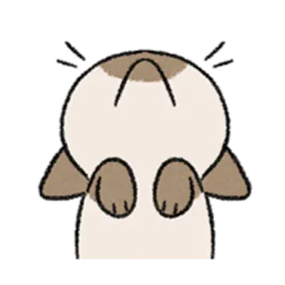 😺 75aac83d 猫, 動物, 可愛い telegram sticker
