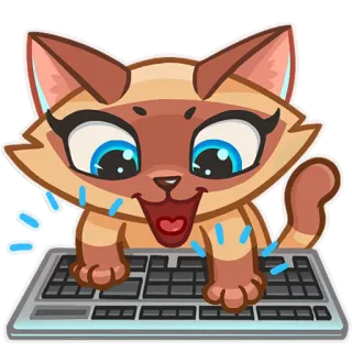 ⌨ e8e83aeb cat, keyboard, typing, animal, cute, cartoon telegram sticker