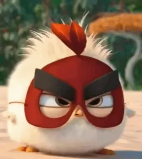 〰 223aa46a angry birds, vogel, wütend, cartoon telegram sticker