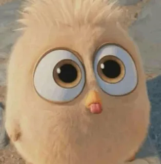 〰 dc7ebc86 vogel, süß, tier, aufkleber telegram sticker