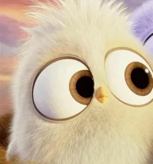 〰 dece3aa0 Vogel, niedlich, Augen, flauschig, Cartoon telegram sticker