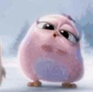 〰 fc222c91 telegram sticker