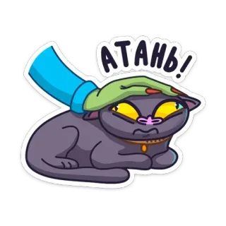 😡 94135d45 АТАНЬ! cat, pet, hand, cartoon, animal, sticker telegram sticker