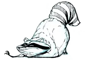 😴 03de713d mapache, animal, dibujos animados, boceto, lindo, estirando, ilustración telegram sticker