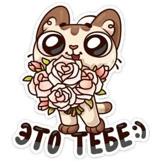 💐 ec9d9f35 ЭТО ТЕБЕ :) 고양이, 꽃, 꽃다발, 귀여운, 선물, 인사, 장미, 행복 telegram sticker