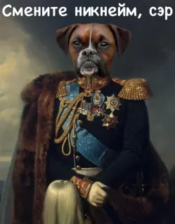 ❌ 3a1cda33 Смените никнейм, сэр dog, portrait, aristocrat, russian, military, uniform, funny telegram sticker