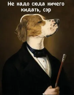 ⛔️ 93284588 Не надо сюда ничего кидать, сэр dog, vintage, gentleman, portrait, animal, funny telegram sticker
