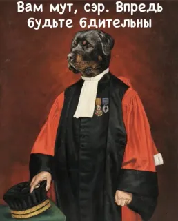 🔕 baadefd9 Вам мут, сэр. Впредь будьте бдительны dog, judge, portrait, animal, humor, russian, mut, meme, alert telegram sticker