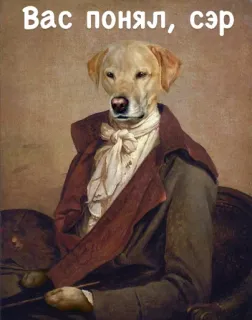 ✌ c0c862be Вас понял, сэр dog, portrait, funny, animal, meme telegram sticker