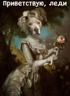 💃 e15f72c6 Приветствую, леди dog, lady, portrait, funny, classical art, anthropomorphic, pet, animal telegram sticker