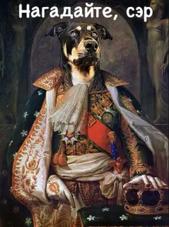 🔮 e6e17e36 Нагадайте, сер dog, portrait, funny, meme, animal, royal, dog face telegram sticker