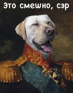 😆 f0106f19 это смешно, сэр dog, portrait, funny, humor, russian, comedy telegram sticker